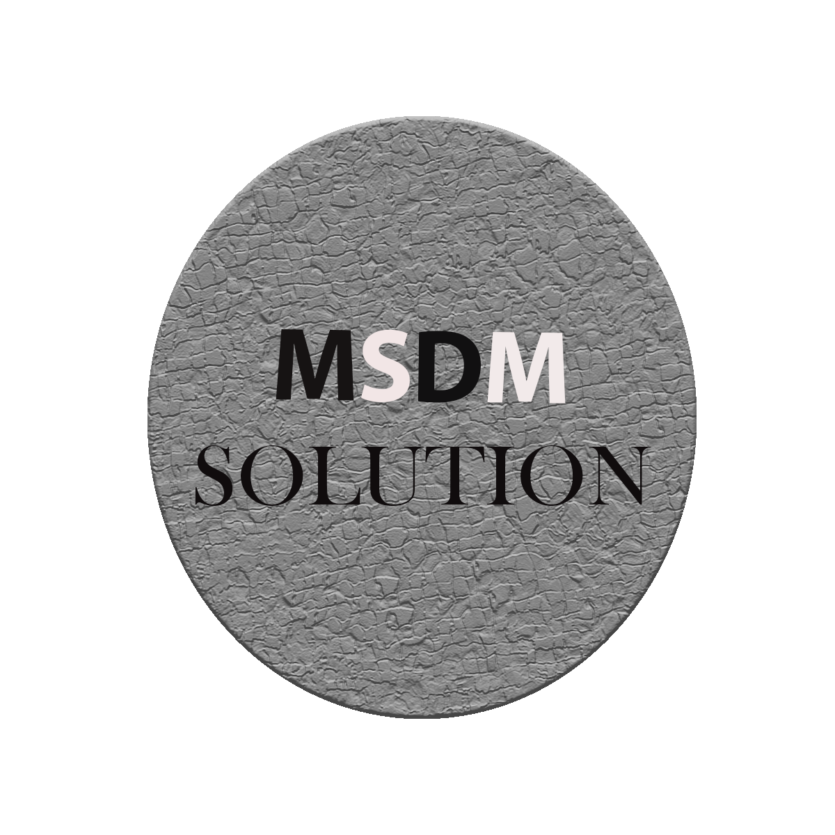 Leading Digital Marketing Agency In Ahmedabad | MSDM 